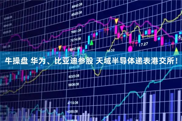 牛操盘 华为、比亚迪参股 天域半导体递表港交所！