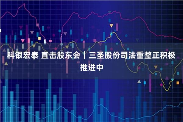 科银宏泰 直击股东会｜三圣股份司法重整正积极推进中