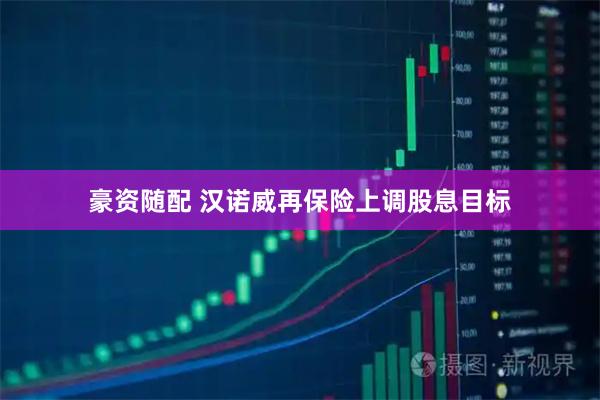 豪资随配 汉诺威再保险上调股息目标