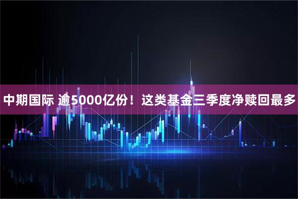 中期国际 逾5000亿份！这类基金三季度净赎回最多