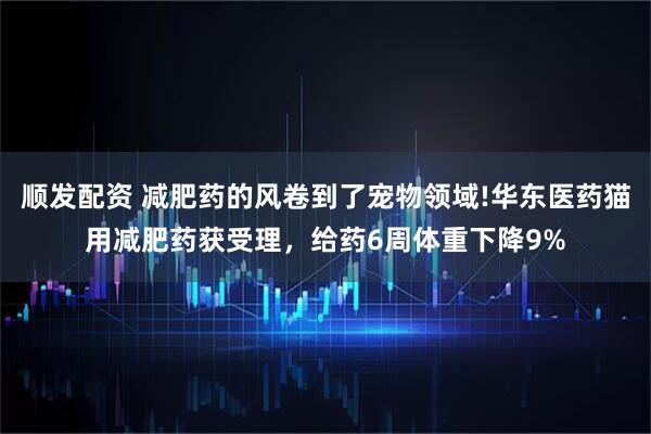 顺发配资 减肥药的风卷到了宠物领域!华东医药猫用减肥药获受理，给药6周体重下降9%